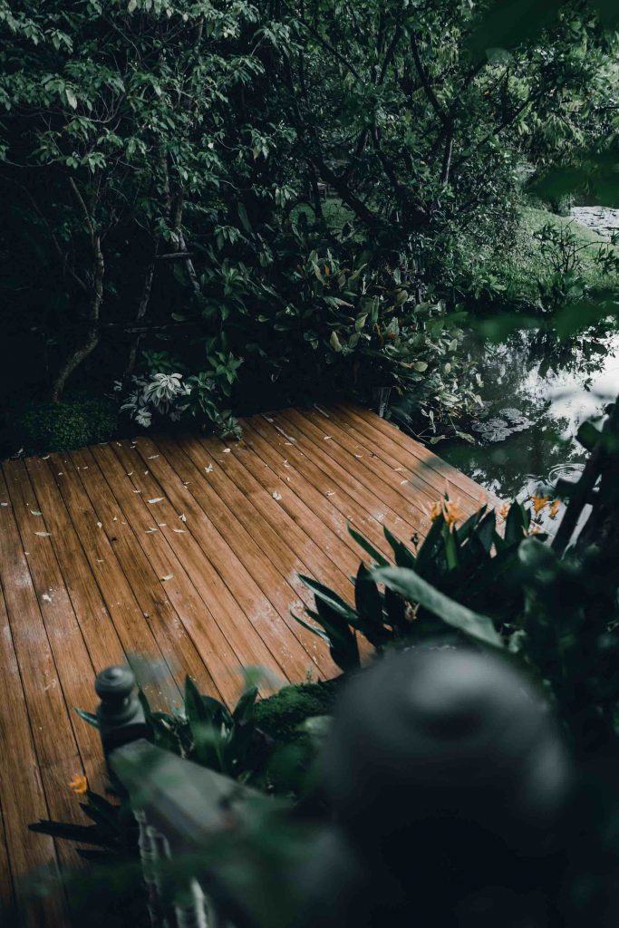 Restoring Your Deck - Blog Image