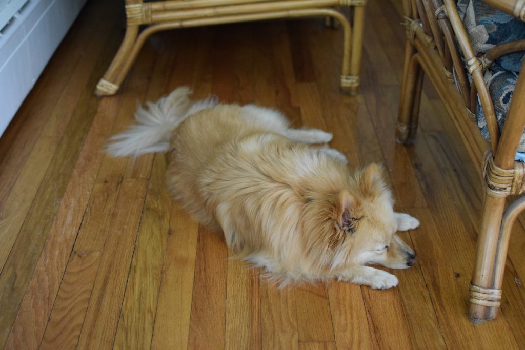 Timber Floor